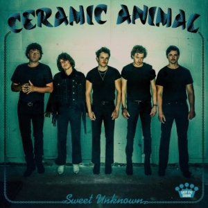 Ceramic Animal - Sweet Uknown in the group CD / Pop-Rock at Bengans Skivbutik AB (4226516)