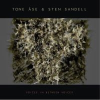 Tone Åse & Sten Sandell - Voices In Between Voices in the group VINYL / Jazz at Bengans Skivbutik AB (4238463)