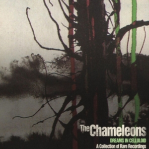 Chameleons The - Dreams In Celluloid (2 Cd) in the group CD / Pop-Rock at Bengans Skivbutik AB (4238916)