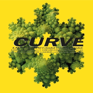 Curve - Fait Accompli (Extended) in the group VINYL / Pop-Rock at Bengans Skivbutik AB (4239822)