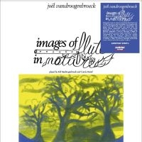 Vandroogenbroeck Joel - Images Of Flute In Nature in the group VINYL / Hårdrock,Pop-Rock at Bengans Skivbutik AB (4244974)