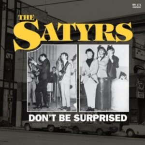 Satyrs The - Don't Be Surprised in the group CD / Pop-Rock at Bengans Skivbutik AB (4255265)