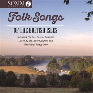 Various - Folksongs Of The British Isles in the group OUR PICKS / Christmas gift tip CD at Bengans Skivbutik AB (4255552)