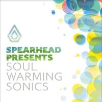 Various Artists - Soul Warming Sonics in the group VINYL / Pop-Rock at Bengans Skivbutik AB (4258088)