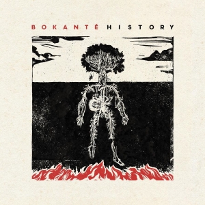Bokanté - History in the group CD / Pop-Rock,World Music at Bengans Skivbutik AB (4259456)