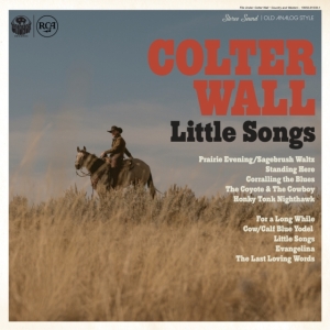 Wall Colter - Little Songs in the group Minishops / Colter Wall at Bengans Skivbutik AB (4260847)