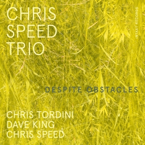 Chris Speed Trio - Despite Obstacles in the group Externt_Lager / at Bengans Skivbutik AB (4261651)