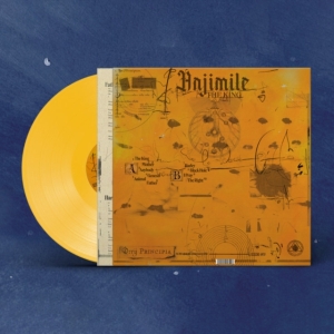 ANJIMILE - THE KING (YELLOW VINYL) in the group VINYL / Pop-Rock at Bengans Skivbutik AB (4265782)