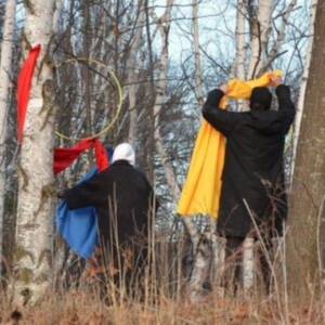 Kinsella Tim & Jenny Pulse - Giddy Skelter in the group OTHER / Övrigt / at Bengans Skivbutik AB (4282804)