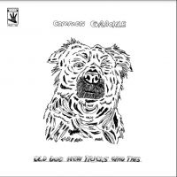 Common Grackle - Old Dog New Tricks Who This in the group OUR PICKS /  Christmas gift tip Vinyl at Bengans Skivbutik AB (4287337)