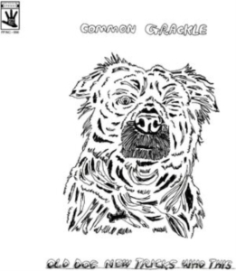 Common Grackle - Old Dog New Tricks Who This in the group VINYL / Pop-Rock at Bengans Skivbutik AB (4287337)