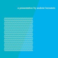 Bernstein Andrew - A Presentation in the group CD / Jazz,Pop-Rock at Bengans Skivbutik AB (4293460)