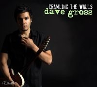 Gross Dave - Crawling The Walls in the group CD / Blues at Bengans Skivbutik AB (4293556)