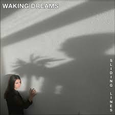 Waking Dreams - Sliding Lines in the group OTHER / -Start BOR1 at Bengans Skivbutik AB (4296375)