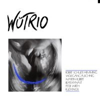 Wütrio - Wütrio in the group CD / Jazz at Bengans Skivbutik AB (4298686)