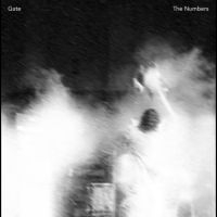 Gate - The Numbers in the group OUR PICKS /  Christmas gift tip Vinyl at Bengans Skivbutik AB (4302266)