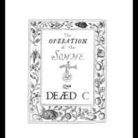 Dead C. - Operation Of The Sonne in the group VINYL / Pop-Rock at Bengans Skivbutik AB (4302272)