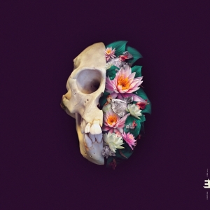 Verneri Pohjola - Monkey Mind in the group CD / Jazz at Bengans Skivbutik AB (4303964)