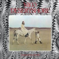 Nico - Desertshore in the group VINYL / Pop-Rock at Bengans Skivbutik AB (4305544)