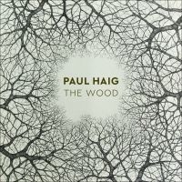 Haig Paul - Wood in the group VINYL / Pop-Rock at Bengans Skivbutik AB (4312974)