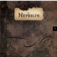 Fields Of The Nephilim - The Nephilim -Expanded Edition (Gol in the group OUR PICKS /  Christmas gift tip Vinyl at Bengans Skivbutik AB (4313373)