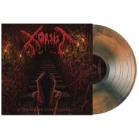 Xorsist - At The Somber Steps Of Serenity (Or in the group OUR PICKS /  Christmas gift tip Vinyl at Bengans Skivbutik AB (4313520)