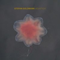 Stefan Goldmann - Acustica in the group CD / Pop-Rock at Bengans Skivbutik AB (4314531)