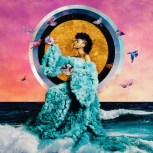 Allison Russell - The Returner in the group OTHER / Övrigt / at Bengans Skivbutik AB (4315471)