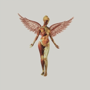 Nirvana - In Utero (Box Vinyl Super Deluxe) in the group OTHER / -Start Uni-LP at Bengans Skivbutik AB (4414506)