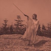 Unknown Mortal Orchestra - Ii in the group VINYL / Pop-Rock at Bengans Skivbutik AB (486740)