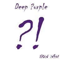 DEEP PURPLE - NOW WHAT?! in the group VINYL / Hårdrock at Bengans Skivbutik AB (487031)