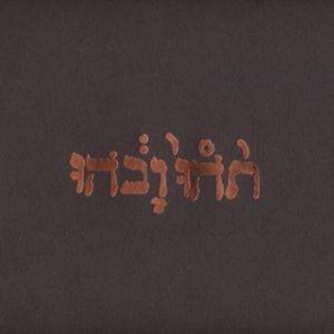 Godspeed You! Black Emperor - Slow Riot For A New Zero Kanada in the group Minishops / Godspeed You at Bengans Skivbutik AB (493872)