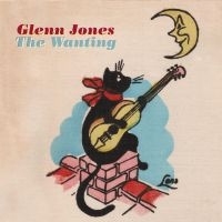 Jones Glenn - Wanting in the group VINYL / Pop-Rock at Bengans Skivbutik AB (498313)