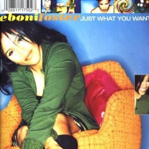 Foster Eboni - Just What You Want in the group CD / Pop-Rock at Bengans Skivbutik AB (501837)