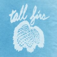 Tall Firs - Out Of It And Into It in the group CD / Pop-Rock at Bengans Skivbutik AB (502442)