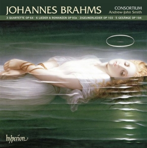 Brahms - Zigeunerlieder in the group Externt_Lager /  at Bengans Skivbutik AB (506583)