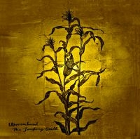 Wovenhand - Laughing Stalk in the group OUR PICKS / Christmas gift tip CD at Bengans Skivbutik AB (525602)