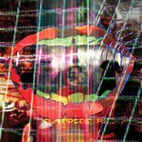 Animal Collective - Centipede Hz in the group CD / Pop-Rock at Bengans Skivbutik AB (525676)