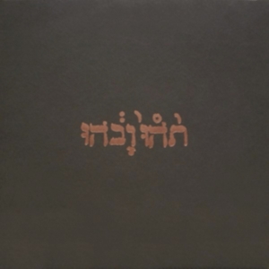 Godspeed You Black Emperor - Slow Riot For New Zero Kanada in the group Minishops / Godspeed You at Bengans Skivbutik AB (533809)