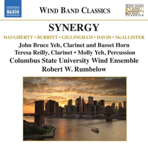 Various Composers - Synergy in the group OUR PICKS / Christmas gift tip CD at Bengans Skivbutik AB (549040)