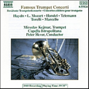 Various - Famous Trumpet Convcertos in the group OUR PICKS / Christmas gift tip CD at Bengans Skivbutik AB (550075)