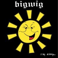 Bigwig - Stay Asleep in the group VINYL / Hårdrock at Bengans Skivbutik AB (5507453)