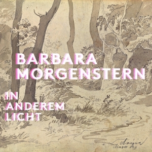 Barbara Morgenstern - In Anderem Licht in the group OUR PICKS /  Christmas gift tip Vinyl at Bengans Skivbutik AB (5509665)