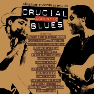Blandade Artister - Crucial Acoustic Blues in the group OTHER / Övrigt / at Bengans Skivbutik AB (550992)