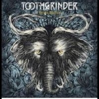 Toothgrinder - Nocturnal Masquerade in the group VINYL / Hårdrock at Bengans Skivbutik AB (5510495)