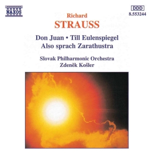 Strauss Richard - Orchestral Works in the group OUR PICKS / Christmas gift tip CD at Bengans Skivbutik AB (5511007)