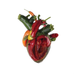 Carcass - Torn Arteries in the group OTHER / Övrigt / at Bengans Skivbutik AB (5517020)