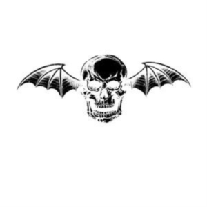 Avenged Sevenfold - Avenged Sevenfold (2 Lp Red Vinyl) in the group OUR PICKS / Friday Releases / Friday The 8th Of Mars 2024 at Bengans Skivbutik AB (5517894)