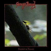 Stress Angel - Punished By Nemesis in the group OUR PICKS /  Christmas gift tip Vinyl at Bengans Skivbutik AB (5518968)