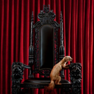 Brume - Marten (Marbled Vinyl Lp) in the group OTHER / Forthcoming products - 10 percent at Bengans Skivbutik AB (5519027)